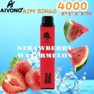 AIVONO AIM BINGO 4000 Puffs Langanhaltender Genuss mit USB-C Schnellladung