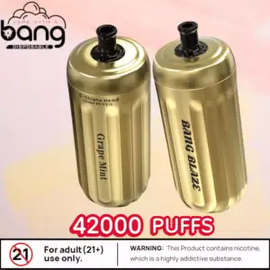 BANG 42000 Puffs Blaze Langlebige E-Zigarette mit 12 Geschmacksrichtungen (10)