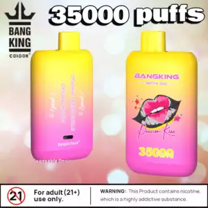 BANG KING 35000 Puffs B35K DUO Langlebig Vielseitig & Stark