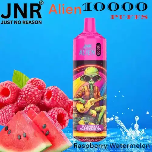 JNR Alien 10000 Puffs Long-lasting Rechargeable Vape with 50 Flavors