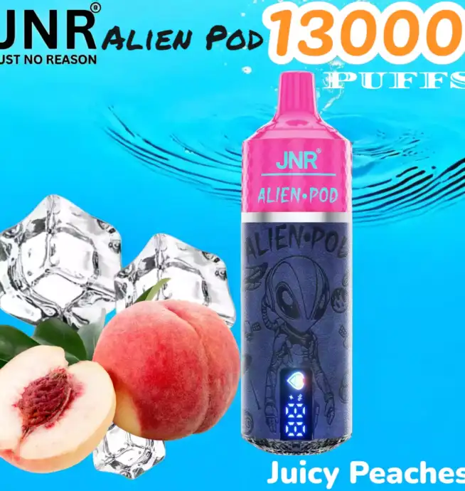 JNR Alien Pod 13000 Puffs Langlebiger Vape mit Mesh-Technologie – Bild 10