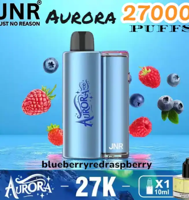 JNR Aurora 27000 Puffs Langlebige E-Zigarette mit USB-C