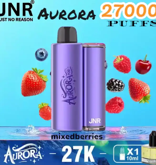 JNR Aurora 27000 Puffs Langlebige E-Zigarette mit USB-C