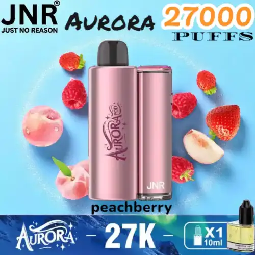 JNR Aurora 27000 Puffs Langlebige E-Zigarette mit USB-C