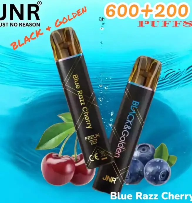 JNR BLACK & Golden 600+200 PUFF Wiederaufladbarer Einweg-Vape mit Stil