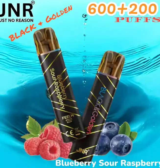JNR BLACK & Golden 600+200 PUFF Wiederaufladbarer Einweg-Vape mit Stil