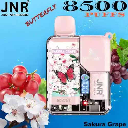 JNR BUTTERFLY 8500 PUFFS Langlebiges Einweg-Vape mit 15ml E-Liquid