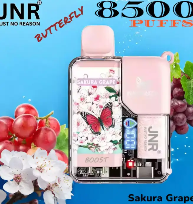 JNR BUTTERFLY 8500 PUFFS Langlebiges Einweg-Vape mit 15ml E-Liquid