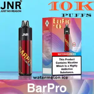 JNR Bar Pro 10K Puffs 10,000 Züge starke Leistung vielfältige Aromen