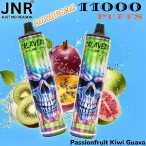 JNR CALAVERA 11000 PUFFS Leistungsstarke Einweg-Vape mit 21ml