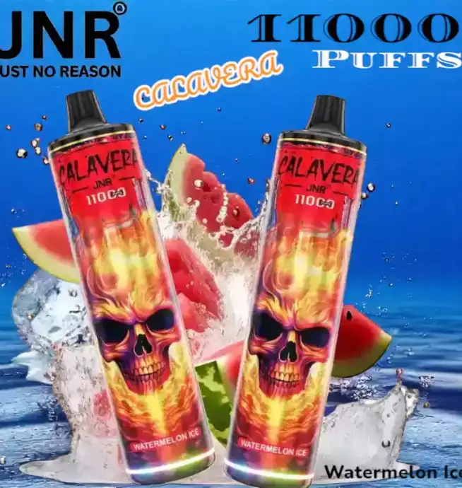 JNR CALAVERA 11000 PUFFS Leistungsstarke Einweg-Vape mit 21ml
