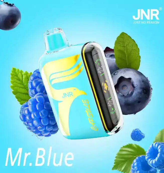 JNR Capsule 15000 Puffs Langlebiger Vape mit 12ml Liquid und Mesh-Technologie