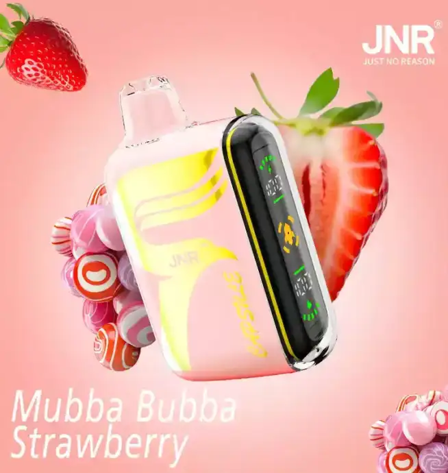 JNR Capsule 15000 Puffs Langlebiger Vape mit 12ml Liquid und Mesh-Technologie