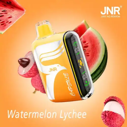 JNR Capsule 15000 Puffs Langlebiger Vape mit 12ml Liquid und Mesh-Technologie