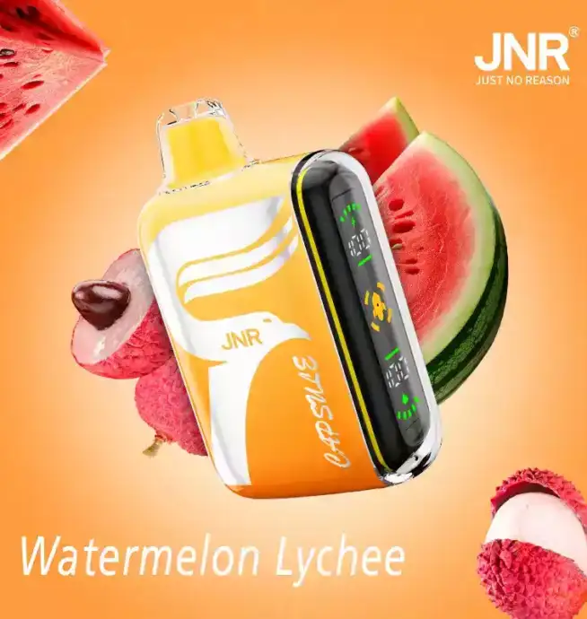 JNR Capsule 15000 Puffs Langlebiger Vape mit 12ml Liquid und Mesh-Technologie