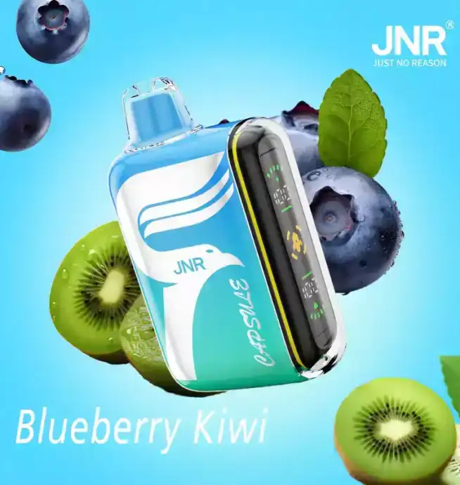 JNR Capsule 15000 Puffs Langlebiger Vape mit 12ml Liquid und Mesh-Technologie