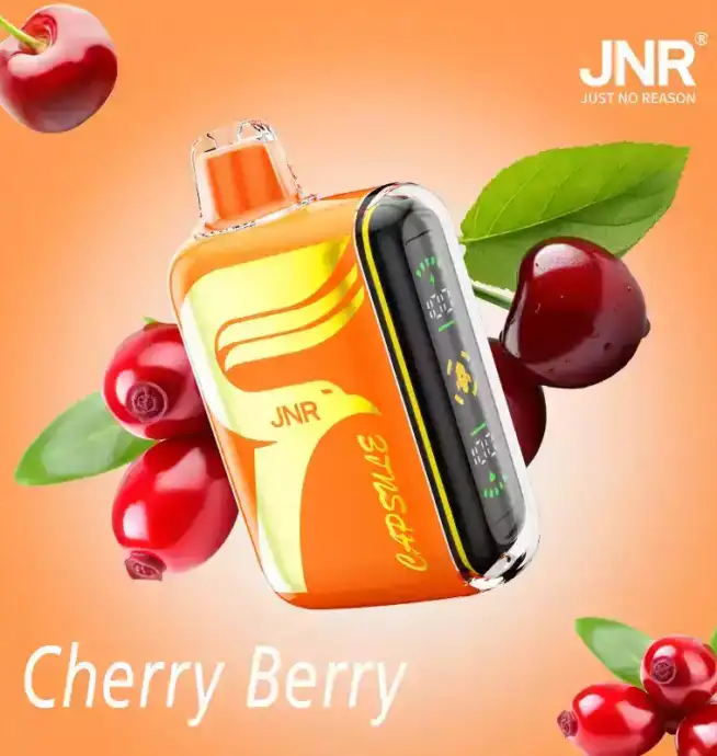 JNR Capsule 15000 Puffs Langlebiger Vape mit 12ml Liquid und Mesh-Technologie