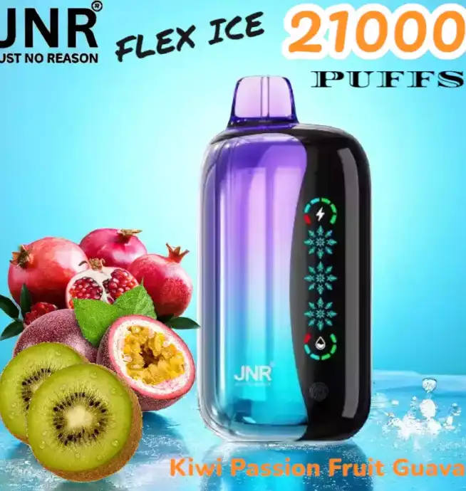 JNR FLEX ICE 21000 Puffs Langlebige E-Zigarette mit Dual Mesh-Coil