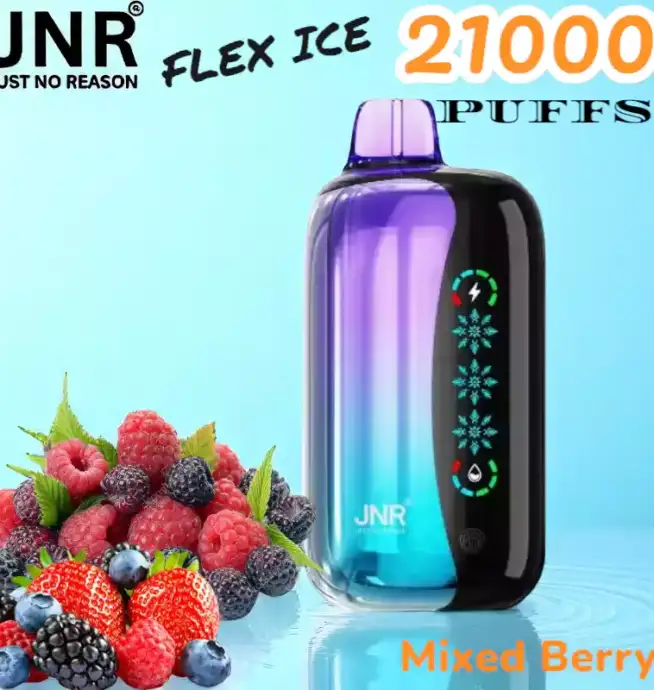 JNR FLEX ICE 21000 Puffs Langlebige E-Zigarette mit Dual Mesh-Coil