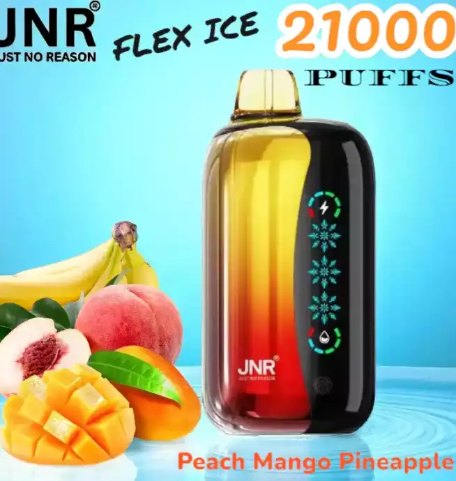 JNR FLEX ICE 21000 Puffs Langlebige E-Zigarette mit Dual Mesh-Coil
