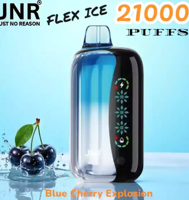 JNR FLEX ICE 21000 Puffs Langlebige E-Zigarette mit Dual Mesh-Coil