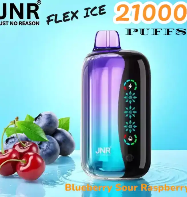 JNR FLEX ICE 21000 Puffs Langlebige E-Zigarette mit Dual Mesh-Coil