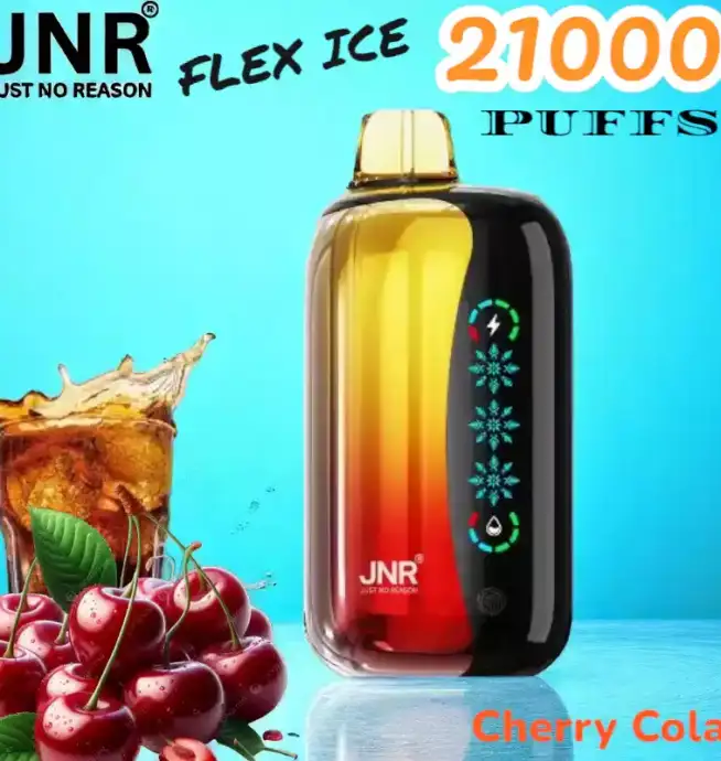 JNR FLEX ICE 21000 Puffs Langlebige E-Zigarette mit Dual Mesh-Coil