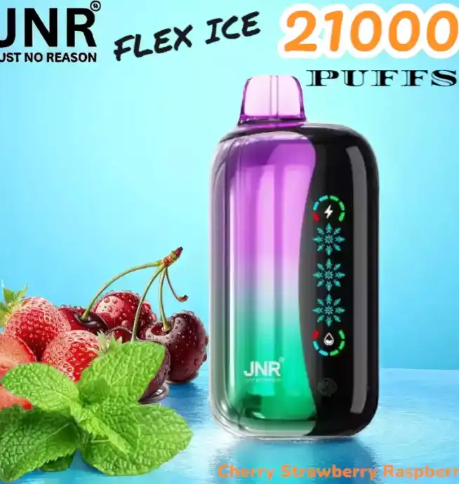 JNR FLEX ICE 21000 Puffs Langlebige E-Zigarette mit Dual Mesh-Coil