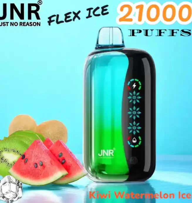 JNR FLEX ICE 21000 Puffs Langlebige E-Zigarette mit Dual Mesh-Coil