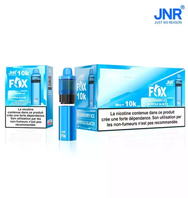 JNR FOX 10000 Puffs Langlebige E-Zigarette mit Dual Mesh-Coil