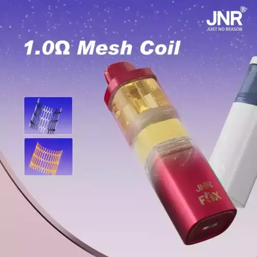 JNR FOX 10000 Puffs Langlebige E-Zigarette mit Dual Mesh-Coil