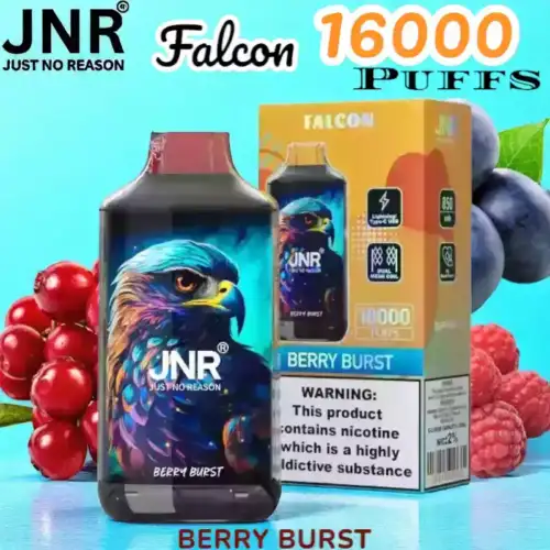 JNR Falcon 16000 Puffs Langanhaltender Genuss mit einstellbarem Luftstrom