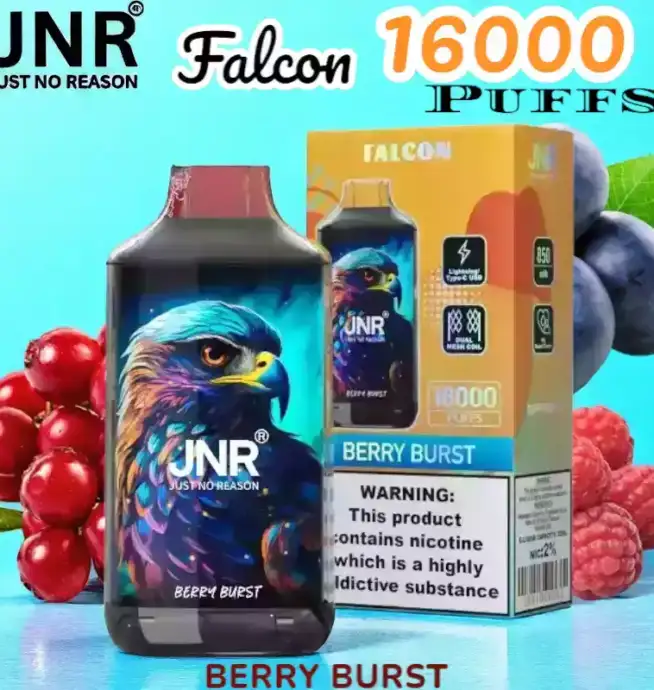 JNR Falcon 16000 Puffs Langanhaltender Genuss mit einstellbarem Luftstrom