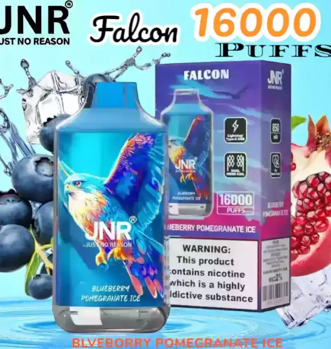 JNR Falcon 16000 Puffs Langanhaltender Genuss mit einstellbarem Luftstrom