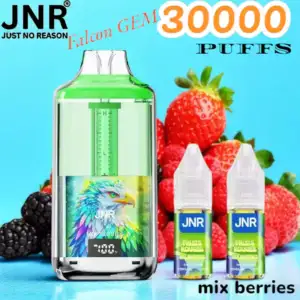 JNR Falcon GEM 30000 Puffs Lang anhaltender Genuss & 10 Aromen