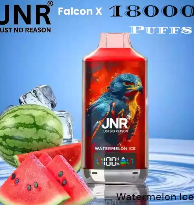 JNR Falcon-X 18000 Puffs Dual Mesh Coil 24ml E-Liquid & 20 Flavors