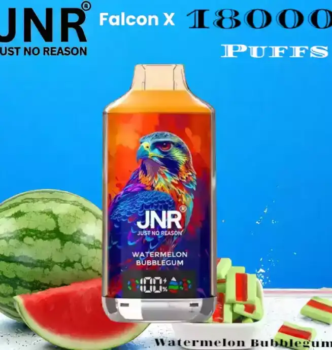 JNR Falcon-X 18000 Puffs Dual Mesh Coil 24ml E-Liquid & 20 Flavors