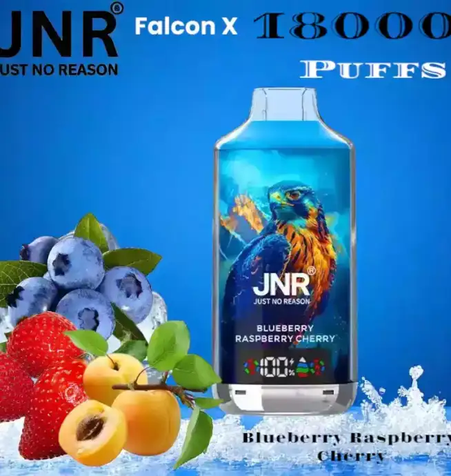 JNR Falcon-X 18000 Puffs Dual Mesh Coil 24ml E-Liquid & 20 Flavors