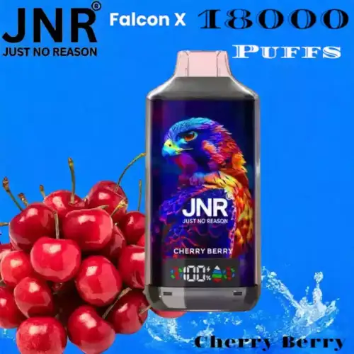 JNR Falcon-X 18000 Puffs Dual Mesh Coil 24ml E-Liquid & 20 Flavors