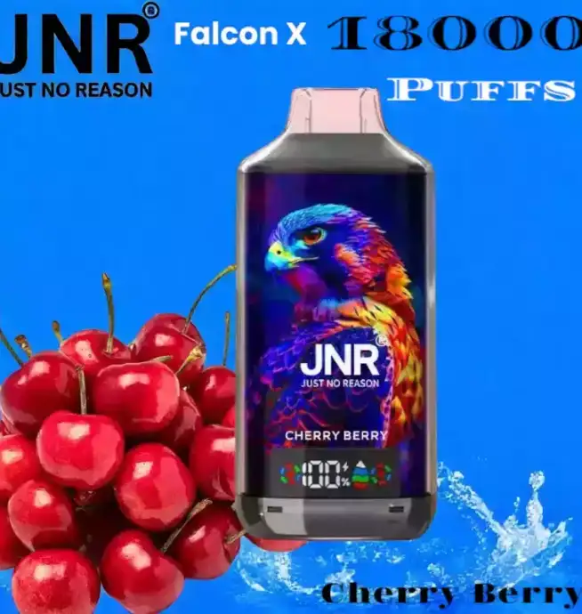 JNR Falcon-X 18000 Puffs Dual Mesh Coil 24ml E-Liquid & 20 Flavors