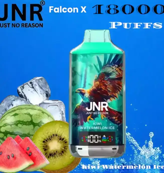 JNR Falcon-X 18000 Puffs Dual Mesh Coil 24ml E-Liquid & 20 Flavors