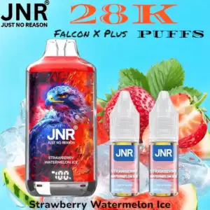 JNR Falcon X Plus 28K Puffs 28000 Züge Top-Refill starke Leistung