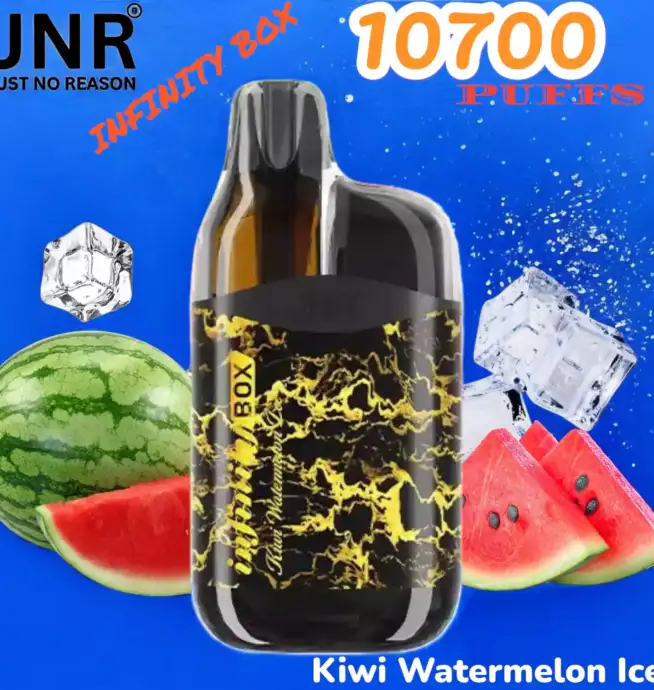 JNR INFINITY BOX 10700 Puffs Einweg-Vape mit 2200mAh & 15ml Liquid