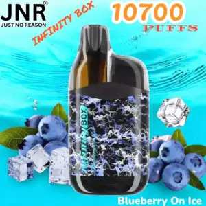 JNR INFINITY BOX 10700 Puffs Einweg-Vape mit 2200mAh & 15ml Liquid