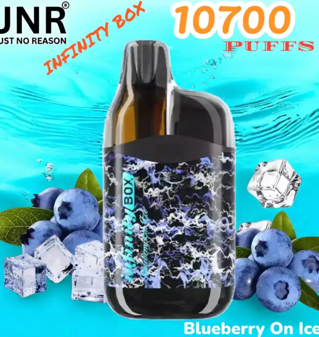 JNR INFINITY BOX 10700 Puffs Einweg-Vape mit 2200mAh & 15ml Liquid