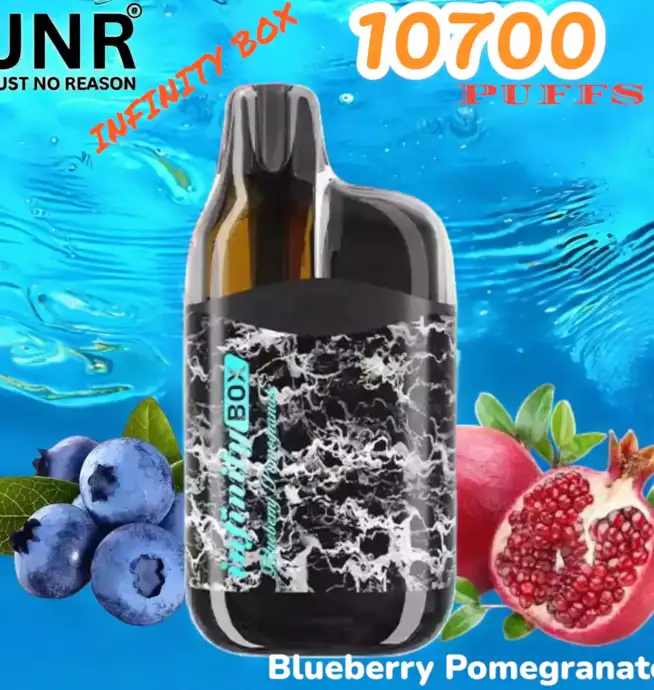 JNR INFINITY BOX 10700 Puffs Einweg-Vape mit 2200mAh & 15ml Liquid
