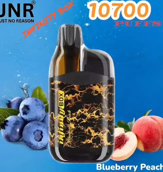JNR INFINITY BOX 10700 Puffs Einweg-Vape mit 2200mAh & 15ml Liquid