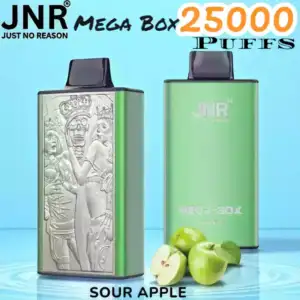 JNR Mega Box 25000 Puffs Lang anhaltender Genuss & Vielseitige Aromen