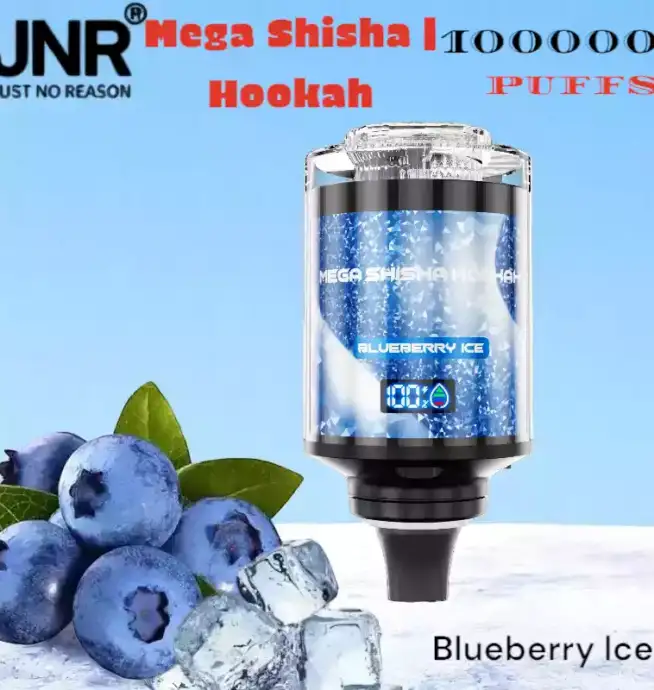 JNR Mega Shisha Hookah 100000 Puffs Langlebig Vielseitig Innovativ