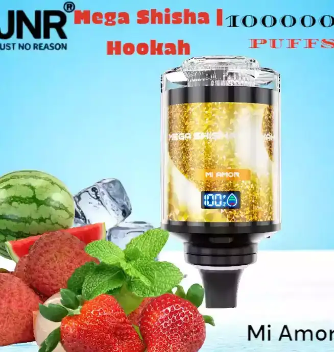 JNR Mega Shisha Hookah 100000 Puffs Langlebig Vielseitig Innovativ